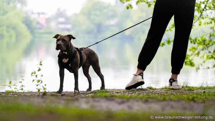 Rentner wird in Peine von Hund angegriffen - Braunschweiger Zeitung