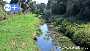 Niedrige Wasserstände durch Dürre: Droht im Kreis Peine Fischsterben? - Peiner Allgemeine Zeitung - PAZ-online.de