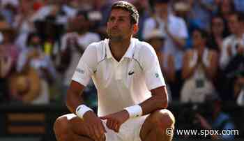 Wimbledonsieger Novak Djokovic vor "langen heißen Sommerferien" - SPOX
