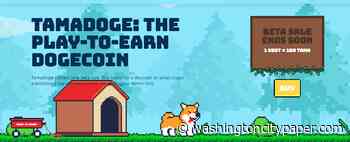 8 Best New Cryptocurrency to Buy During the Crypto Dip - Washington City Paper