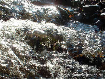 Minden-Lübbecke: Entnahme von Trinkwasser aus Flüssen und Bächen verboten - Radio Westfalica