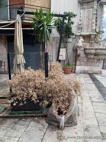 Messina. Degrado in Via Cardines, in attesa della Vara. FOTO - Tempo Stretto