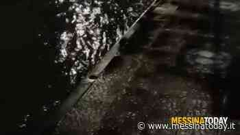 Il maltempo non molla Messina: notte di pioggia, incidenti e strade allagate - MessinaToday