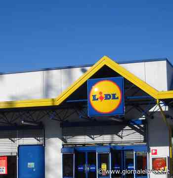 CHIVASSO. Scippata a Lidl chiede di riavere i suoi effetti personali - Giornale La Voce