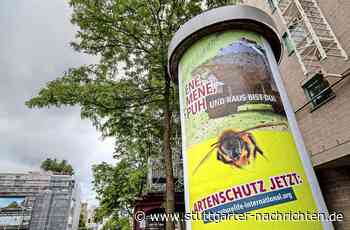 Diskussion um Werbung in Stuttgart: Warum die Stadt Alkoholwerbung nicht verbieten darf - Stuttgarter Nachrichten