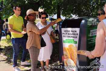 Mulhouse: des boîtes à pain installées pour éviter les dépôts sauvages et nourrir les animaux de la ferme - France 3 Régions