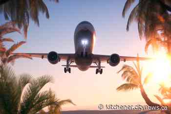 Is it worth traveling right now? - Kitchener.CityNews.ca