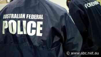 NDIS taskforce to hunt down 'gutless' crime groups defrauding billions from disability clients