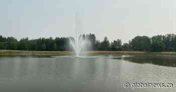 Child goes missing while swimming in Whitecourt, Alta. - Global News