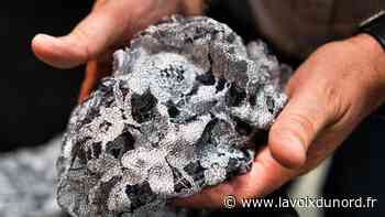 Dentelle de Caudry : les secrets de sa fabrication - La Voix du Nord