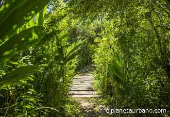 De Buenos Aires a Entre Ríos: 4 reservas y un parque para escapar de la ciudad y conectar con la naturaleza - EPU - El Planeta Urbano