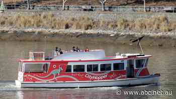 Brisbane City Council to sell eight wooden ferries suspended from river two years ago