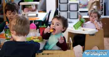 Families Department Fails Washington Audit for $271 Million in Childcare Payments - Dailyfly