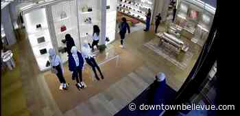 Bellevue Detectives Charge Suspects in Organized Retail Theft Rings Involving Louis Vuitton, Nordstrom - Downtown Bellevue Network