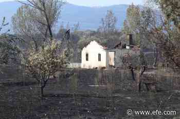 Controlado el mayor incendio del año, en Losacio (Zamora), después de 28 días y 31.500 hectáreas quemadas - Agencia EFE