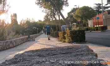 Tiempo en Zamora: La fiesta del 15 de agosto llega sin cambios en las temperaturas - Zamora News