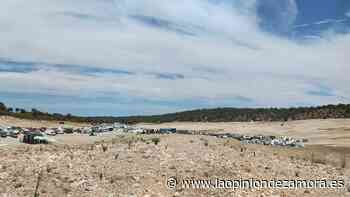 GALERÍA | Así es la fiesta "rave" en Argusino - La Opinión de Zamora