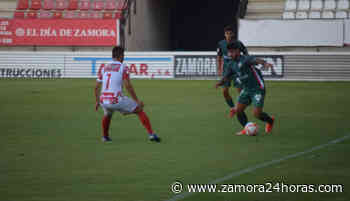 El Zamora se lleva el IX Memorial Agustín Villar tras imponerse al Guijuelo - Zamora24horas.com