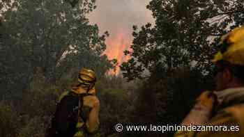 Riesgo extremo de incendios, en la tarde de hoy sábado en Zamora - La Opinión de Zamora