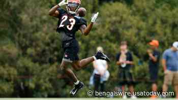 Cincinnati Bengals training camp: Early winners and losers - Bengals Wire