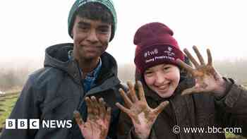 Celebration planned for Woodland Trust's first Young People's Forest - BBC