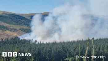 Redesdale Forest blaze site under control after burning for days - BBC