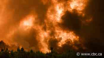 France's Gironde region sees further evacuations in latest forest-fire battle - CBC News