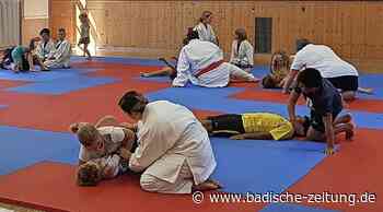 40. Ferienspiele in Kenzingen - Kenzingen - badische-zeitung.de