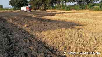 Blaulicht im Nordkreis Cloppenburg: Abgeerntetes Feld in Gehlenberg gerät in Brand - Nordwest-Zeitung