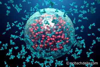 Age Accelerating “Zombie Cells” – A New Study Sheds Light on These Unique Cells