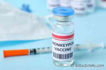 Monkeypox Vaccines: A Virologist Explains How They Work, Who Can Get Them, and How Well They Prevent Infection