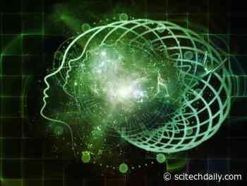 Physicist Claims To Have Solved the Mystery of Consciousness