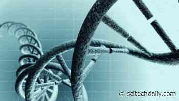 Why Is Alzheimer’s More Common in Women? New Discovery Brings Scientists Closer to an Answer