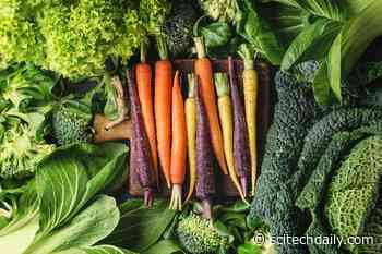 Superfoods: Can They Actually Pose a Health Risk?