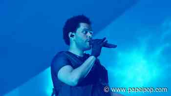 Homem morre após cair de escada rolante durante show de The Weeknd - Papelpop