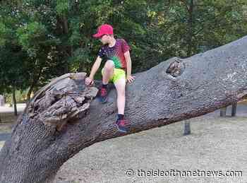 Matthew Munson: I'm going to talk to you about a tree in Pierremont Park… - The Isle of Thanet News