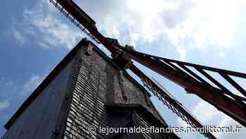 Retrouvez les anecdotes du moulin Deschodt à Wormhout - Le Journal des Flandres