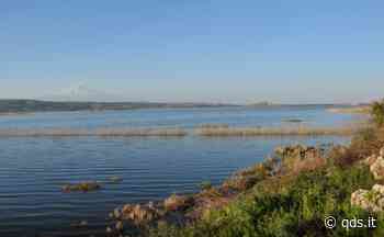 Elettrodotto tra i pantani di Lentini e Gelsari: “Flora e fauna locale a rischio, nessuna rassegnazione a... - Quotidiano di Sicilia