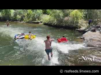 A splash of Friday good news