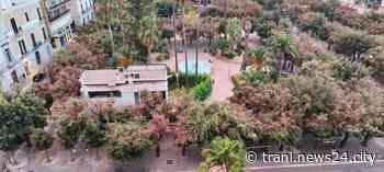 Articolo97: «Salviamo piazza della Repubblica da questa gestione del verde» - Trani News24 City