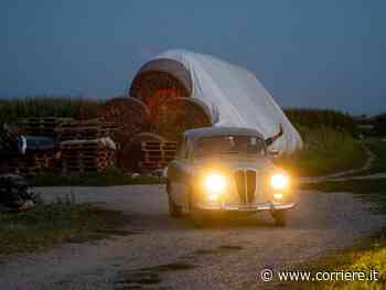 Dal tramonto all’alba nella campagna padana a fari accesi tra mais e nutrie. «Dove sono le bufale?» - Corriere della Sera