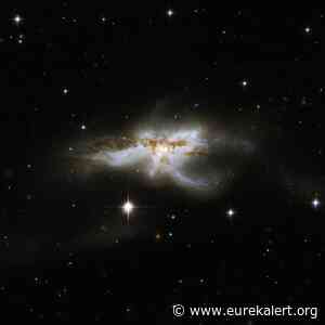 How do galaxies evolve? A UMass Amherst undergrad may have provided the missing link - EurekAlert