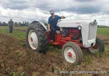 C-K Plowing Match a success, say organizers | Sarnia & Lambton County This Week - Sarnia and Lambton County This Week