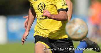 Newcastle Olympic strike late to hurt Lambton Jaffas' NPL title shot - Newcastle Herald