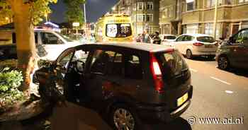 Automobilist ramt boom op Soestdijksekade en raakt lichtgewond - AD.nl