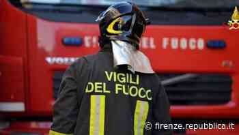 Sesto Fiorentino, Dick veglia la padrona per giorni prima e dopo la morte - La Repubblica Firenze.it