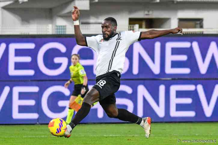 Spezia-Empoli 1-0, votate le "Pagelle dei Tifosi" - Calcio Spezia