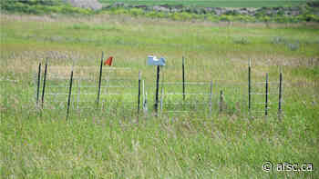 AFSC and Olds College partner to drive innovation in agriculture - AFSC