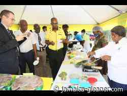 Young farmers get impetus from agriculture programme | News - Jamaica Gleaner