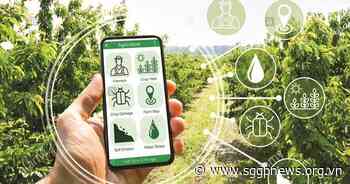 Vietnam striving to develop digital agriculture | Business - sggpnews